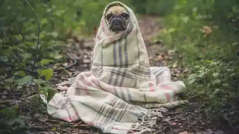 Los 3 ESTADOS que serán afectados por un nuevo sistema frontal que traerá HELADEZ el fin de semana