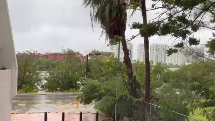 Clima en Cancún hoy_ Pronóstico del tiempo 29 de enero de 2025.jpg