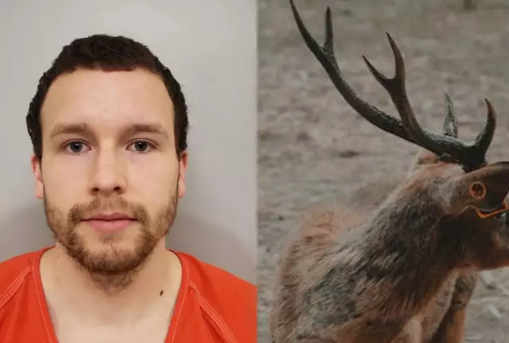 Papá mató al hombre que acosó a su hija; le clavó el asta de un alce