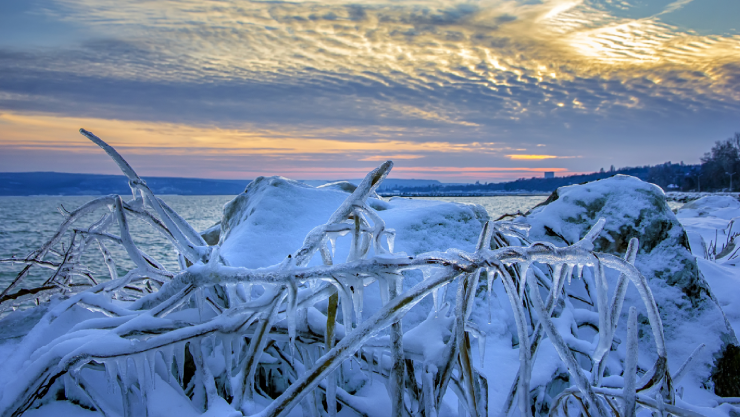 AMANECER GELIDO CHIHUAHUA.jpg