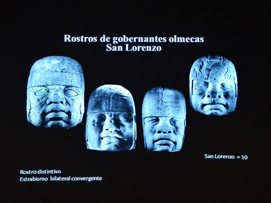 Imágenes del estudio