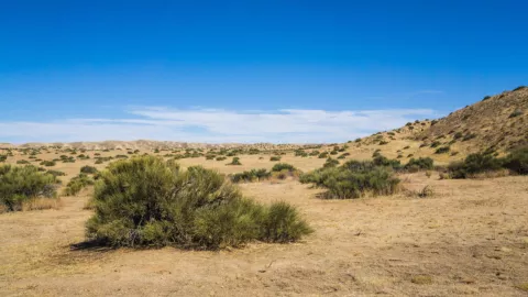 El desierto de Mojave forma parte del desierto norteamericano más grande.