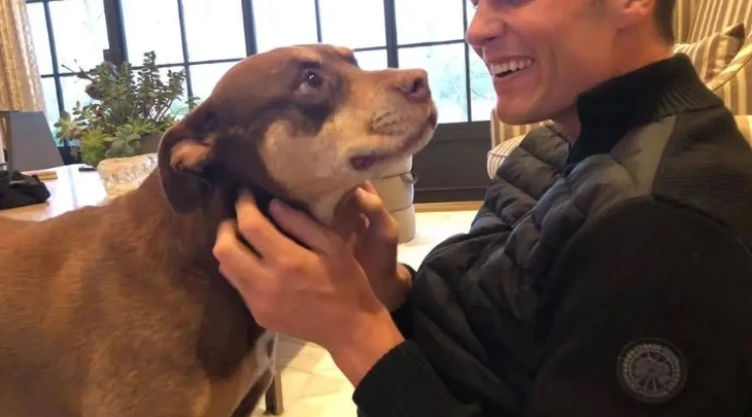 perro Tom Brady