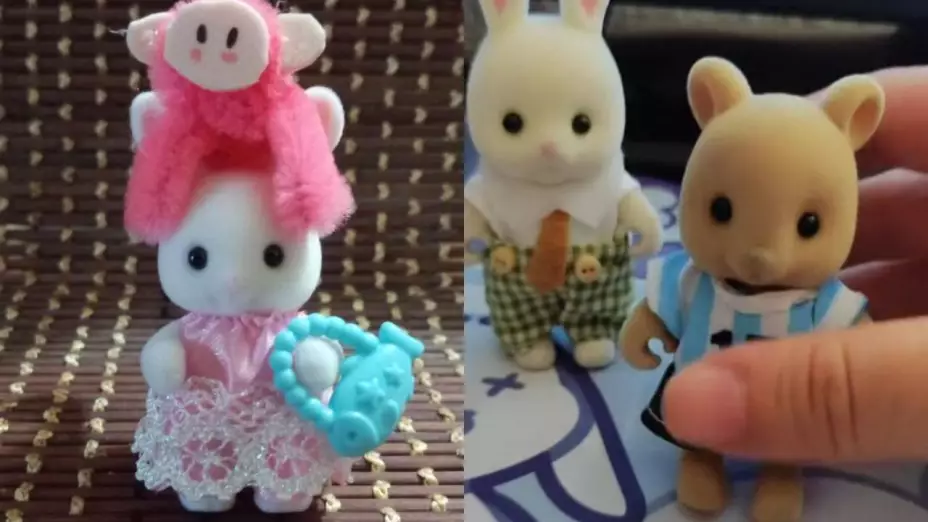 Ternurines en Chihuahua