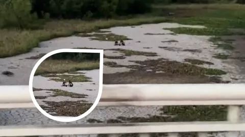 Captan a pareja haciendo picnic en río seco de Culiacán