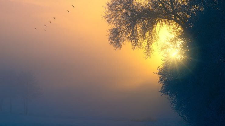 clima hoy ciudad juárez