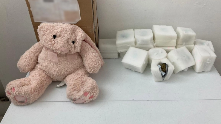 Metían droga en oso