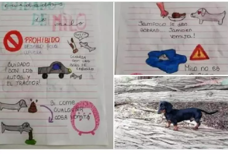 Niña deja manual a su tía para que cuide a su perro salchicha; se hace viral.jpg