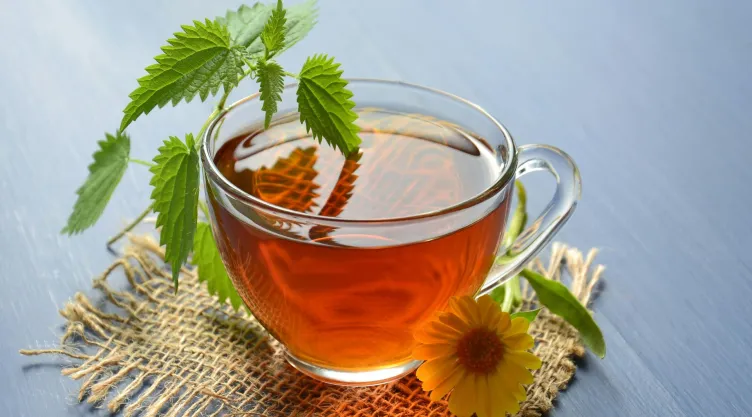 El té que elimina el mal aliento de las mañanas efectivamente