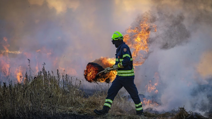 ¿Cuál es el número de víctimas por los incendios en California?