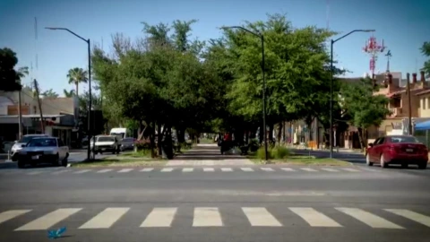 Torreón árboles nativos.jpeg