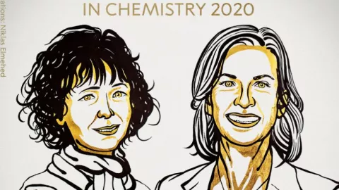 Las dos genistas desarrollaron un m&eacute;todo para la edici&oacute;n de genes