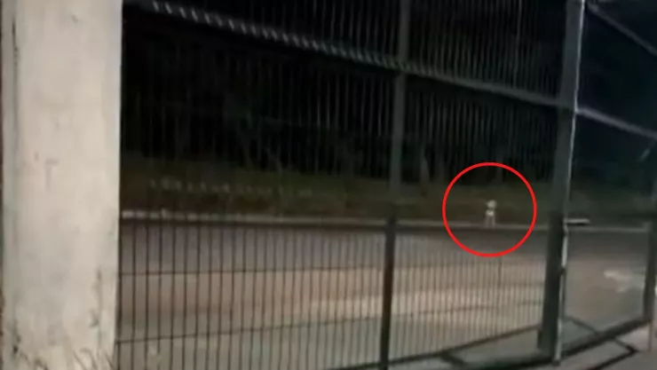 captan en video a niña fantasma en pensión de tráileres de tuxpan veracruz.jpg