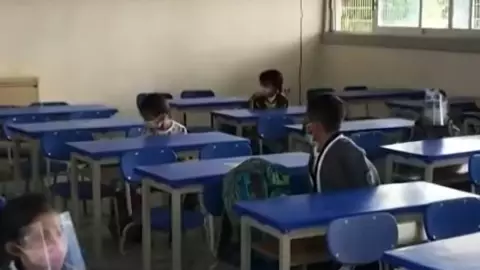 puentes escolares sep