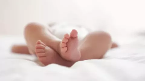 Tosferina en México