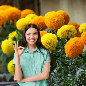 Cómo hacer un arco de cempasúchil para tu ofrenda con materiales económicos