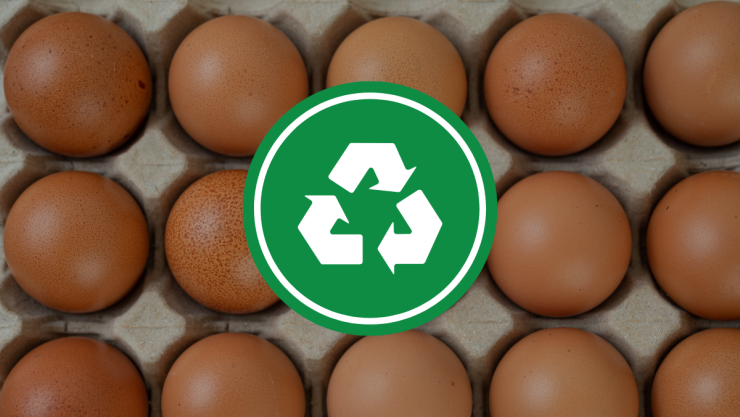 /estilo-de-vida/cartón-huevos-canasta-reciclable