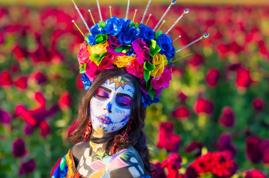 maquillajes catrina