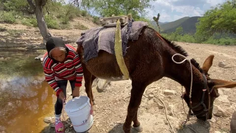 ¡Vivir sin agua! Sequía de años en la comunidad de Amaro, Nuevo León