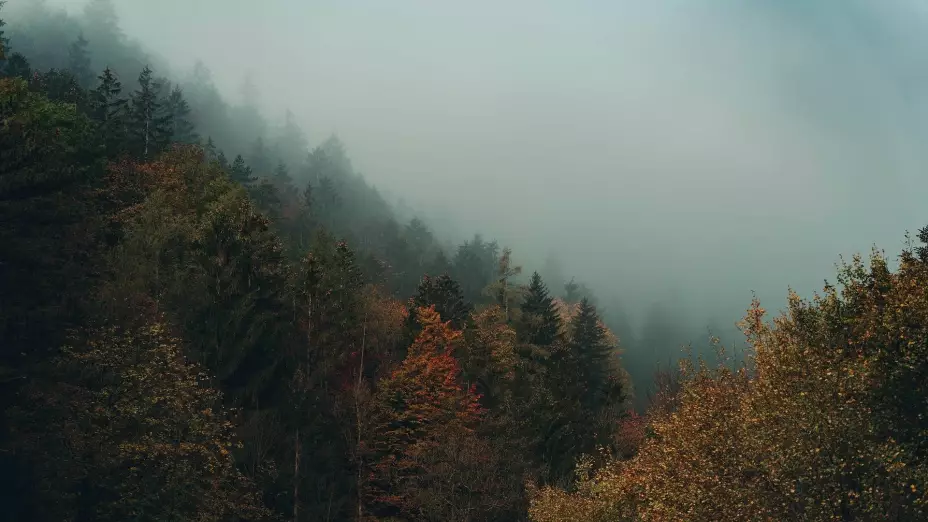 Clima en Morelos hoy