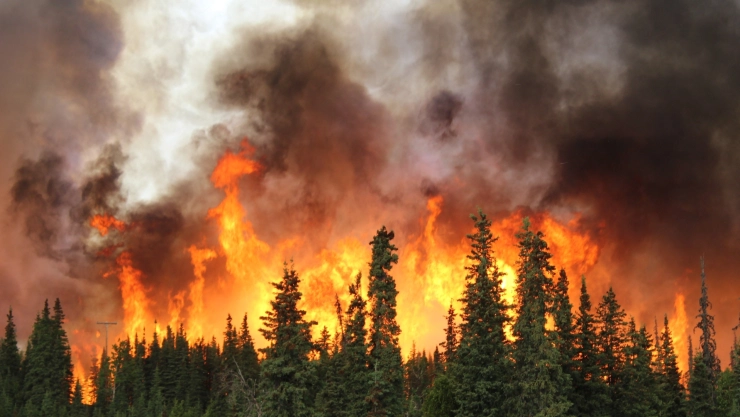El humo de los incendios de Canadá llega a Estados Unidos.