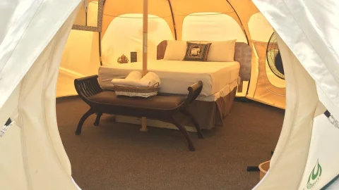 Harmony Glamping and Boutique Hotel