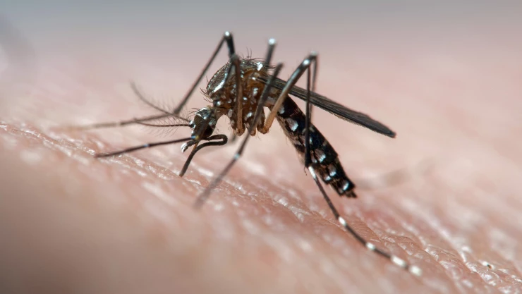 Efemérides del 26 de agosto