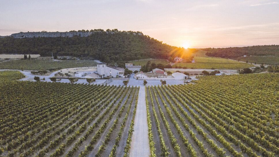 viñedos la clape