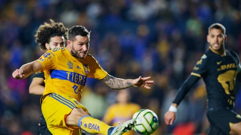 Gignac Tigres