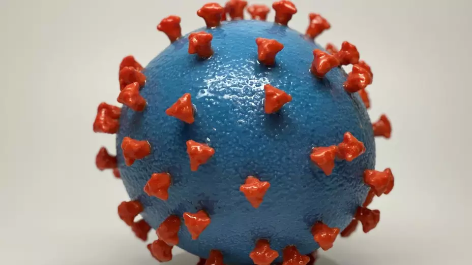 coronavirus.jpg