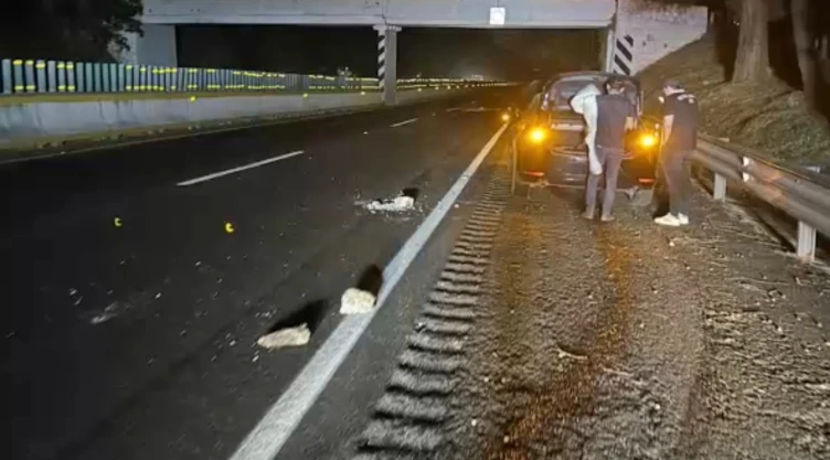piedras-en-carretera