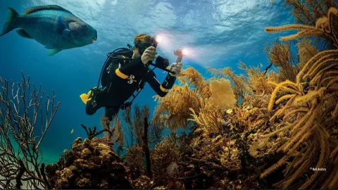 Conapesca reubican arrecife de coral