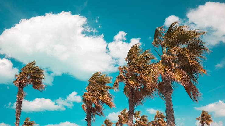 Vientos de Santa Ana Tijuana y San Diego lunes 9 de diciembre de 2024