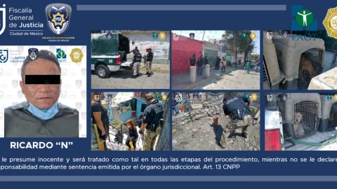 Rescate animales.jpeg