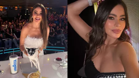 /famosos/sofia-vergara-no-asistio-emmys-hospitalizada-estado-salud-pb-notas