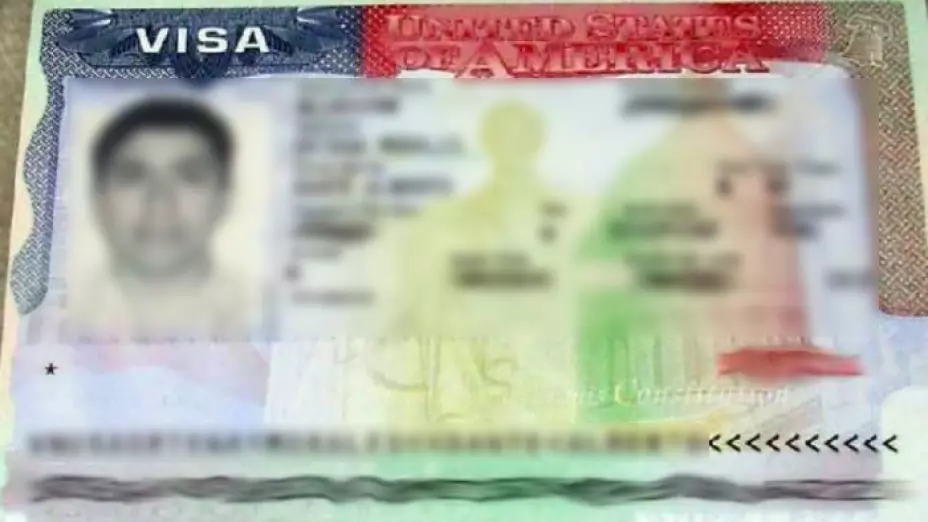 ¿Qué significan los asteriscos?