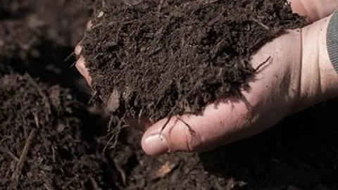 5 mejores tipos de tierra para tus plantas: ideales para el jardín o macetas en el interior de la casa