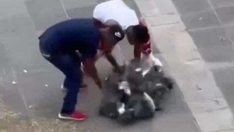 hombres captados cazando palomas.png