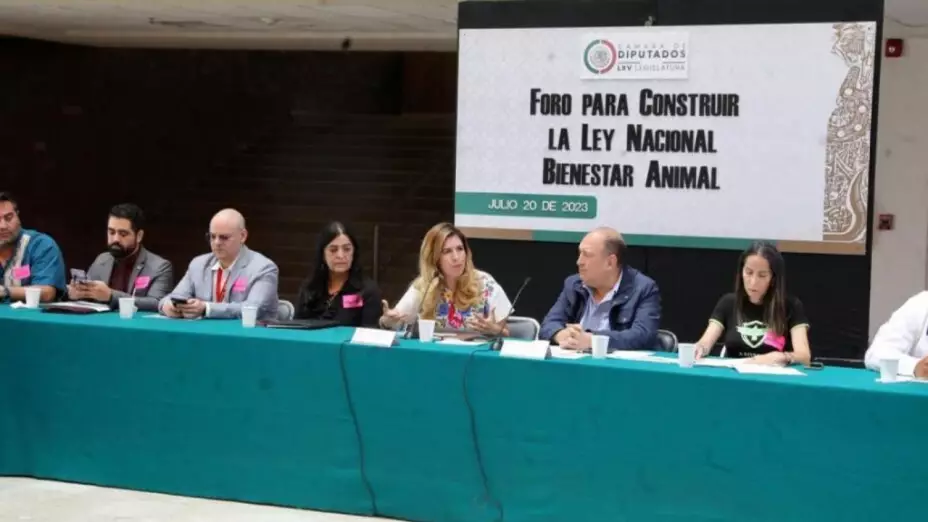 PRI recopila propuesta para Ley Nacional de Bienestar Animal
