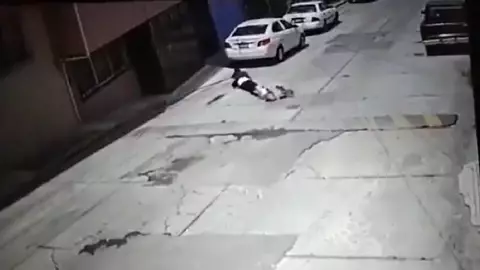 Perro pitbull ataca a abuelita.jpg