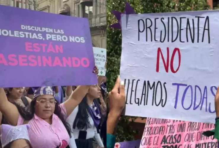 Cuál fue el crimen que dio origen a la protesta mundial del 25N