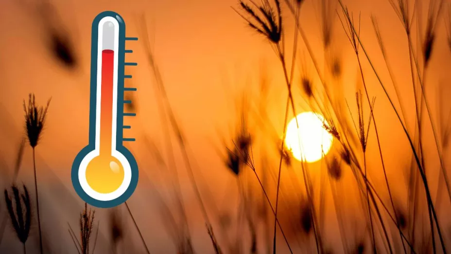 ¿Tampoco en Aguascalientes Estos son los estados en los que no llegaría la canícula en 2024