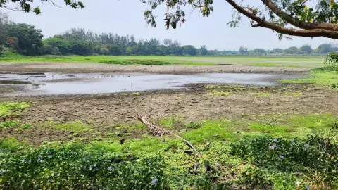 Laguna de Lagartos en Veracruz.