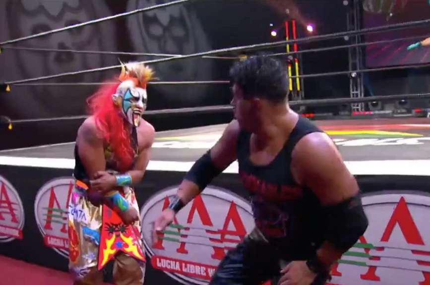 Lucha Fighter