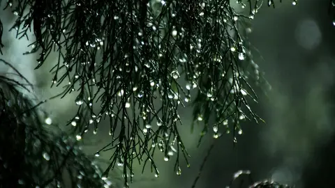 Lluvia