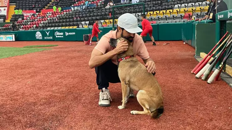 El Águila de Veracruz.