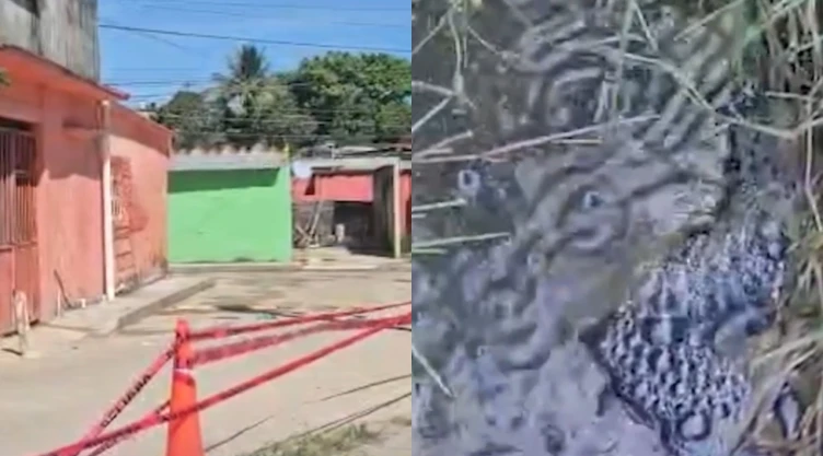 fuga-dioxido-carbono-moviliza-a-proteccion-civil-y-preocupa-a-vecinos-coatzacoalcos