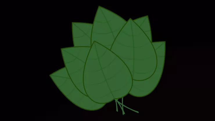 /estilo-de-vida/como-hacer-ritual-albahaca-atraer-abundancia