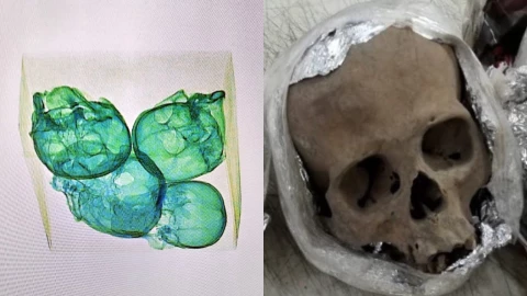 Paquete con cuatro cráneos en Querétaro