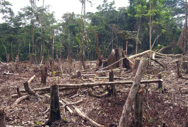 El presidente de Brasil Jair Bolsonar se ha expresado a favor de incrementar la actividad minera y agraria, incluyendo en la Amazonia. Imagen: Flickr